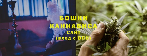 шишки Володарск