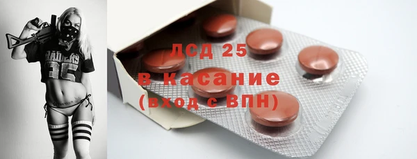 шишки Володарск