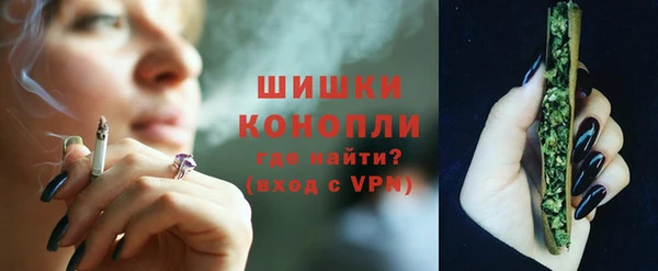 шишки Володарск