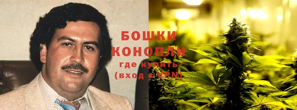 хмурый Липки